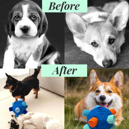 Snuffle Ball for Dog Toys Unbreakable Upgrade Ball Interactive Toy Foraging Snuffle Mat Puppy Treat Dispenser Slow Feeder